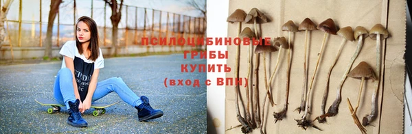 дживик Горнозаводск
