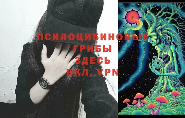синтетический гашиш Вяземский