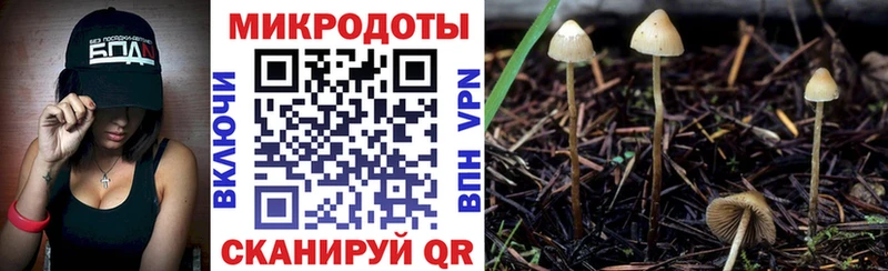 Купить  Кудымкар  Псилоцибиновые грибы ЛСД 